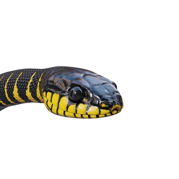 Manguezal Serpente Ilustração — Fotografia de Stock