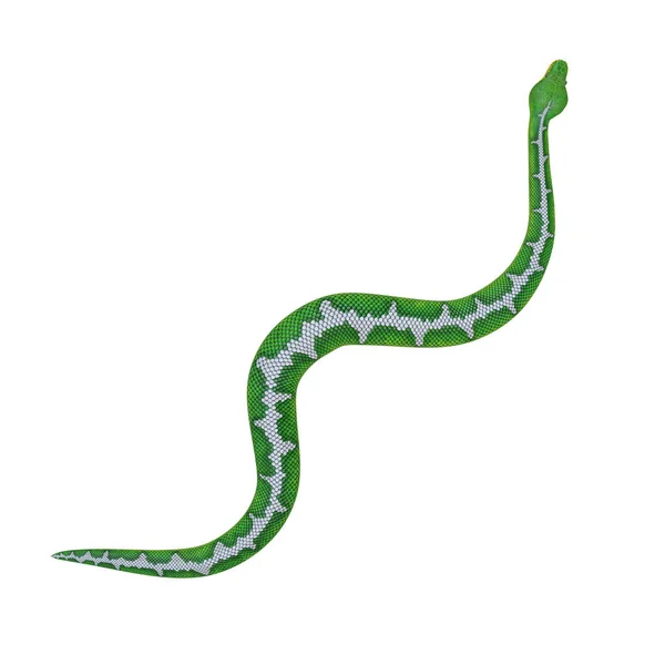 Emerald Tree Boa Illustration — Stock Photo, Image