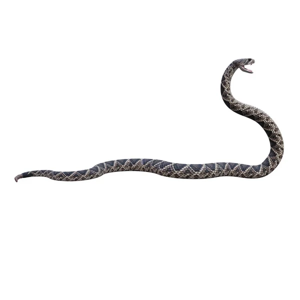 东方菱形背响尾蛇3D插图 — 图库照片