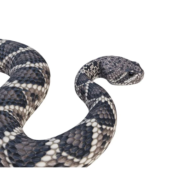 东方菱形背响尾蛇3D插图 — 图库照片