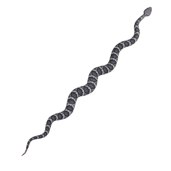Ilustración Serpiente Cascabel Diamante Oriental — Foto de Stock