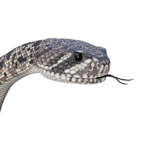 Ilustración Serpiente Cascabel Diamante Oriental — Foto de Stock