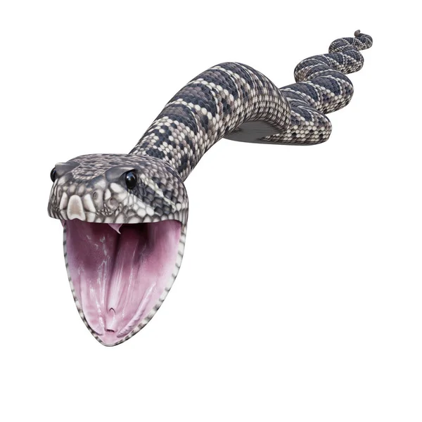 Orientale Diamondback Serpente Sonagli Illustrazione — Foto Stock
