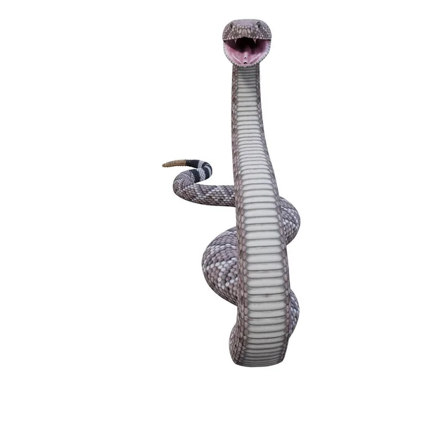 Occidentale Diamondback Serpente Sonagli Illustrazione — Foto Stock