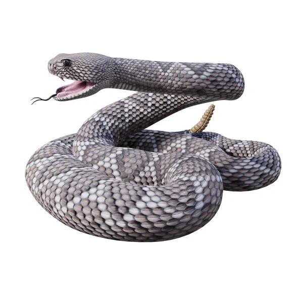 西方菱形背响尾蛇3D插图 — 图库照片