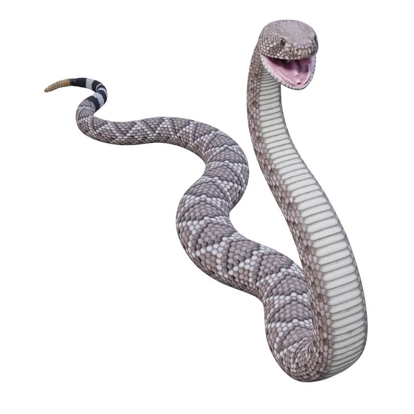 Западная Трёхмерная Иллюстрация Гремучей Змеи — стоковое фото