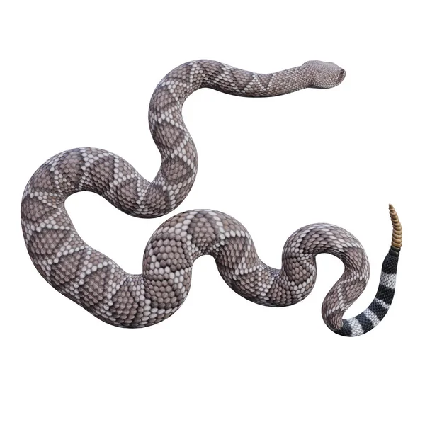 Западная Трёхмерная Иллюстрация Гремучей Змеи — стоковое фото