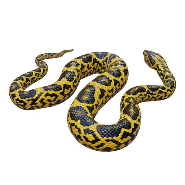 黄色Anaconda 3D插图 — 图库照片