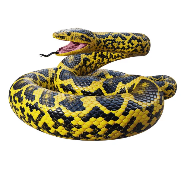 黄色Anaconda 3D插图 — 图库照片