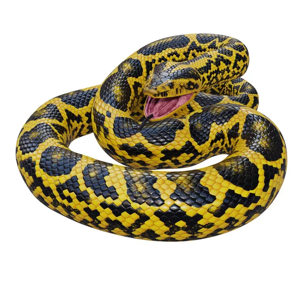 Yellow Anaconda Illustration — Stock Photo, Image