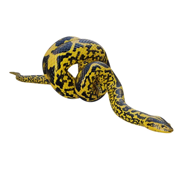 Yellow Anaconda Illustration — Stock Photo, Image