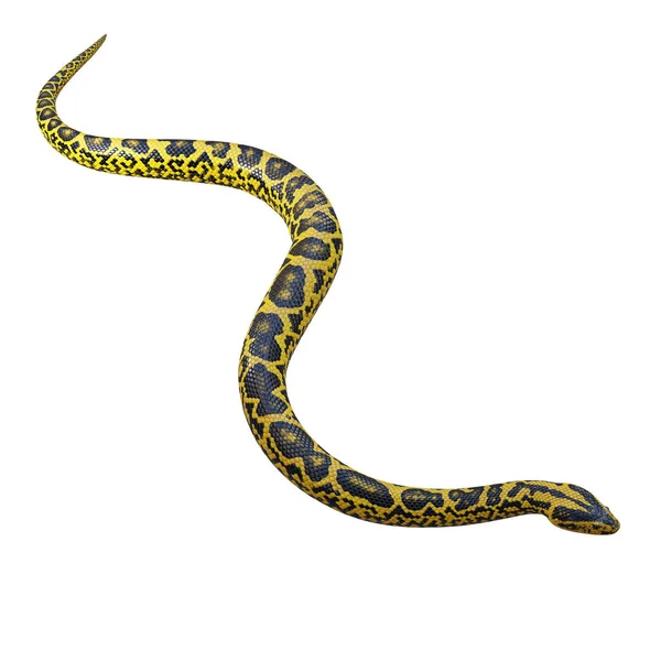 黄色Anaconda 3D插图 — 图库照片