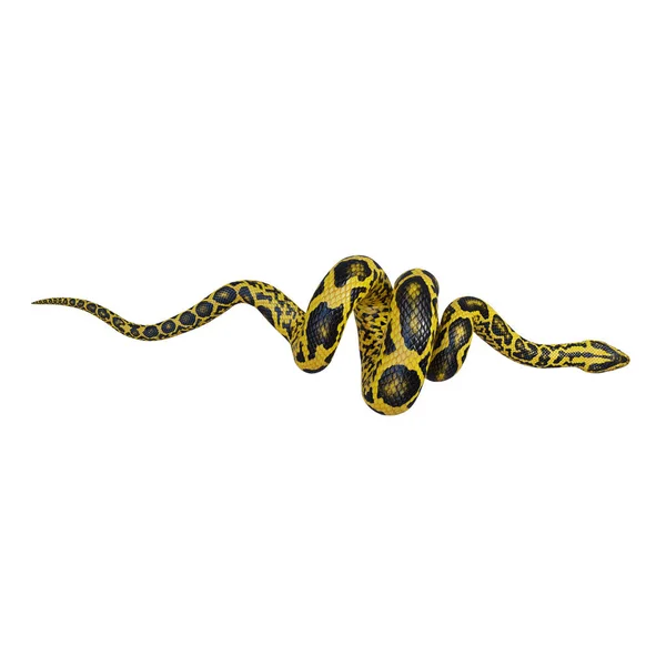 Yellow Anaconda Illustration — Stock Photo, Image