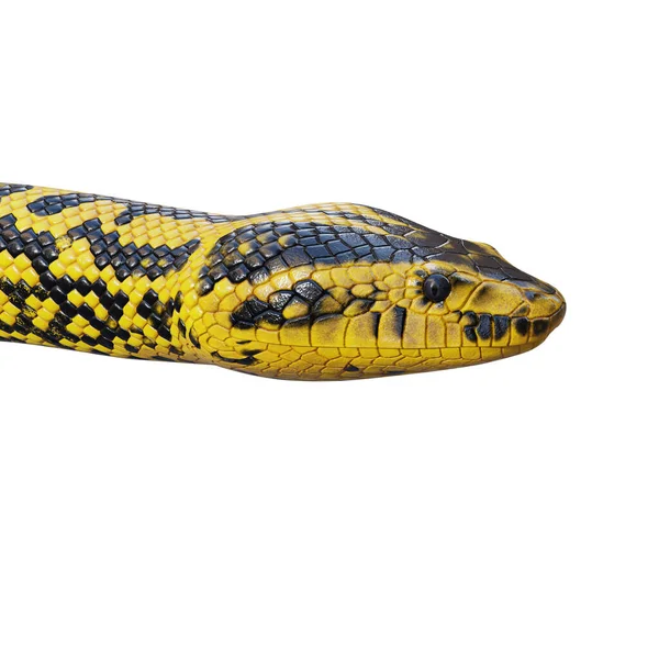 黄色Anaconda 3D插图 — 图库照片