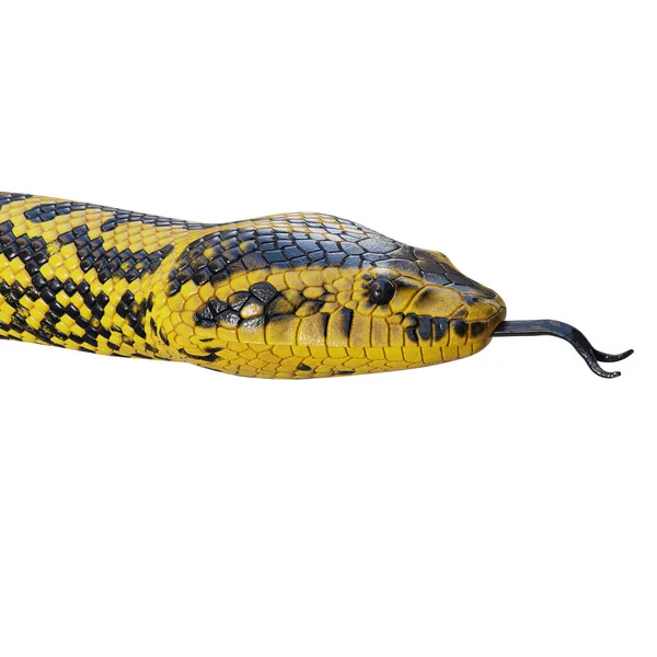 Amarillo Anaconda Ilustración — Foto de Stock