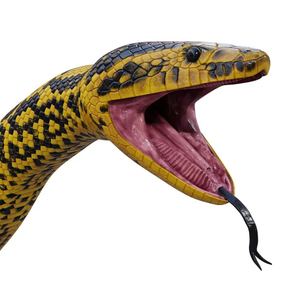 Anaconda Gialla Illustrazione — Foto Stock