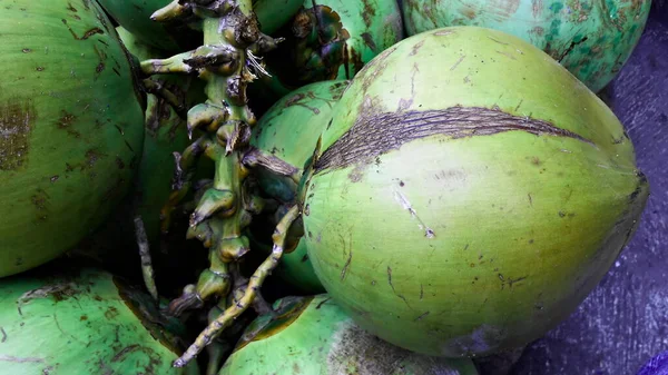 at the green young coconut ice seller, the basic ingredient is green young coconut