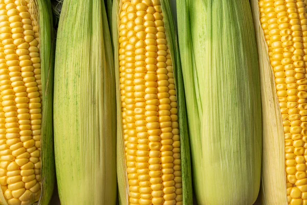 Maiskolben Natur Abstrakte Muster Hintergrund Ansicht Von Oben Erntekonzept Für — Stockfoto