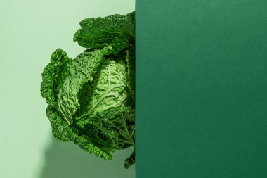 Yeşil arka planda savoy lahanasının yaratıcı görüntüsü. sağlıklı vejetaryen yemeği. en üstteki görünüm