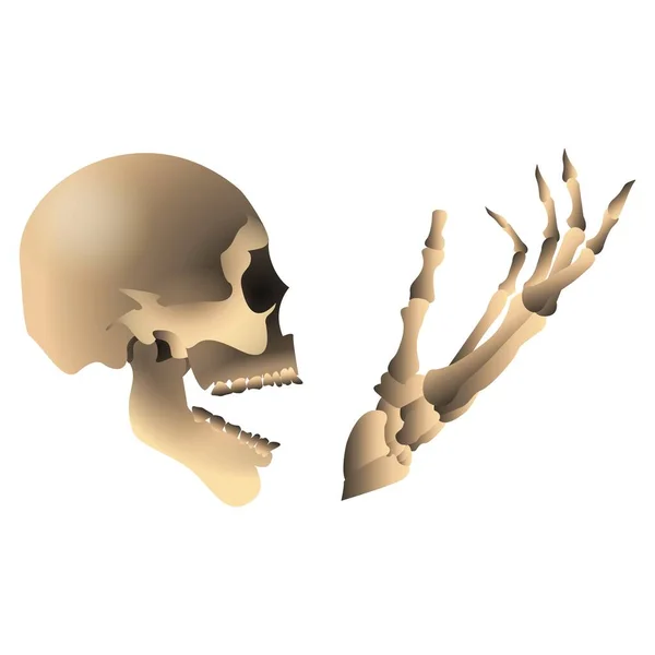 Totenkopf Mit Skeletthand Realistischem Stil Gruselige Helloween Dekoration Für Die — Stockvektor