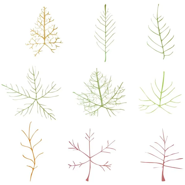 Leaf Vector Doodle Botanical Illustration Set 바탕에 분리되어 — 스톡 벡터