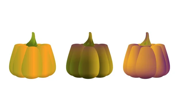 Pumpor Collection Realistisk Stil Mörk Och Orange Färsk Pumpa Helloween — Stock vektor