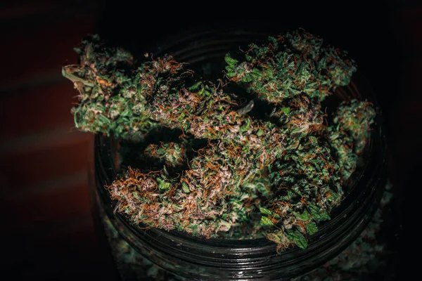 Jättestor Burk Med Medicinska Cannabisknoppar Marijuanafrön — Stockfoto