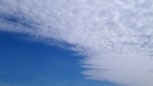 Modrá Obloha Bílé Mraky Nadýchané Bílé Mraky Cumulus Cloudscape Timelapse — Stock video