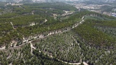 İnsansız hava aracı Portekiz kırsalında ağaçlar ve yollarla vuruldu