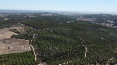İnsansız hava aracı Portekiz kırsalında ağaçlar ve yollarla vuruldu
