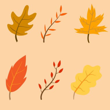 Sonbahar yapraklarının vektör simgesi. Çeşitli tipte sonbahar yaprağı illüstrasyonu