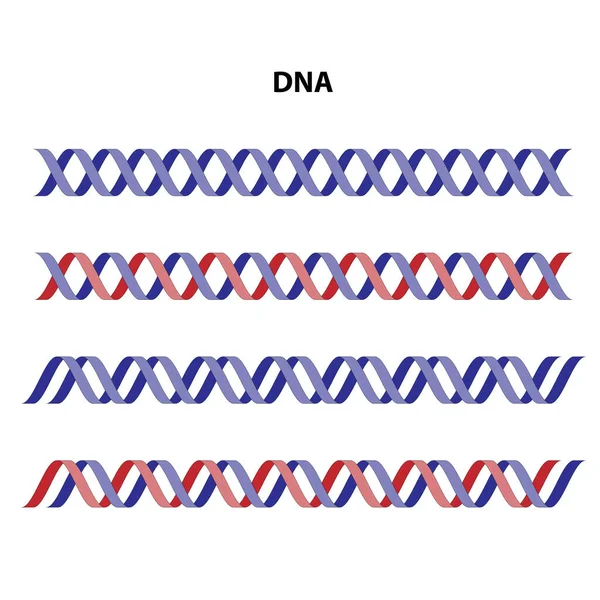 Beyaz arkaplan üzerinde DNA (deoksiribonükleik asit) ayarlı