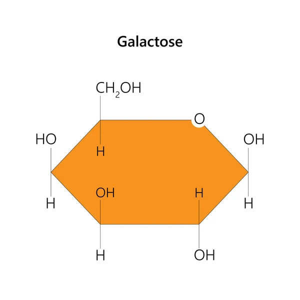 Galactosa Azúcar Monosacárido Que Casi Tan Dulce Como Glucosa Ilustración — Vector de stock