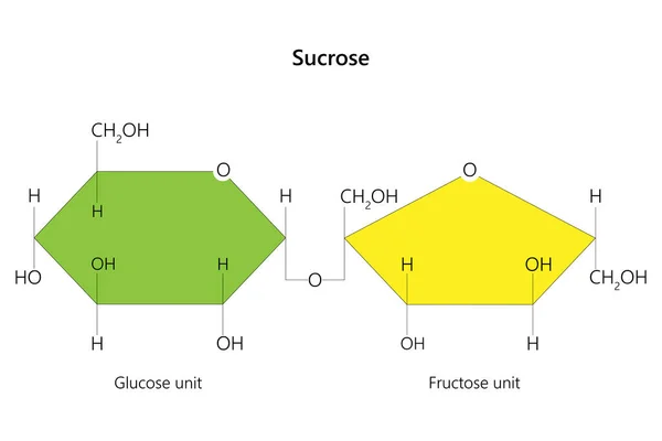 Sacarosa Disacárido Azúcar Compuesto Por Subunidades Glucosa Fructosa Ilustración Vectorial — Vector de stock