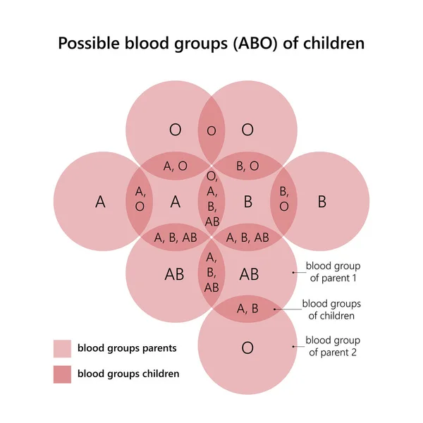 Possível Grupo Sanguíneo Abo Crianças — Vetor de Stock