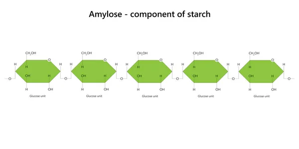 Amylosa Polysacharid Rostlin Složka Škrobu — Stockový vektor