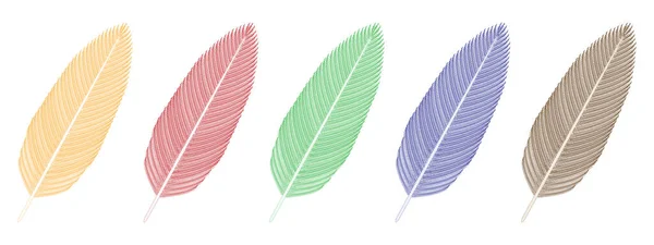 Plumes Oiseaux Jaune Rouge Vert Bleu Gris Illustration Vectorielle — Image vectorielle