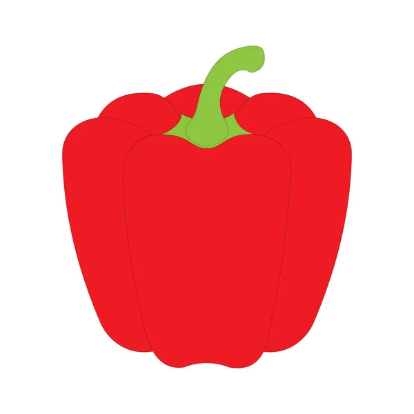 Red Bell Pepper Capsicum Annuum Ilustração Vetorial — Vetor de Stock