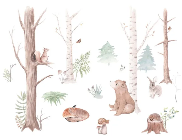 Акварель Набор Лесные Животные Деревья Акварель Лесной Пейзаж Медведь Белка — стоковое фото