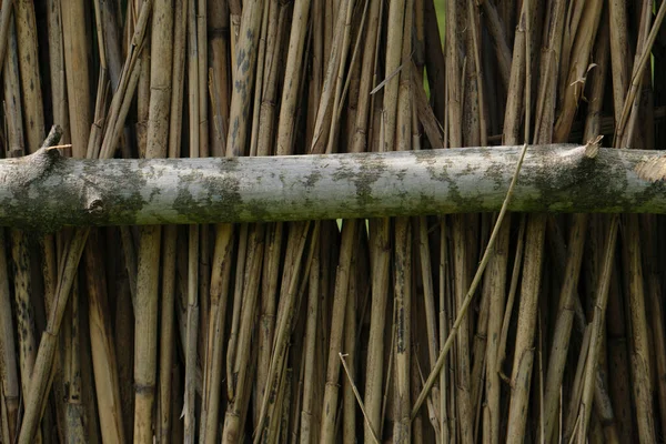 リードと木の柵自然古い密接な背景 — ストック写真