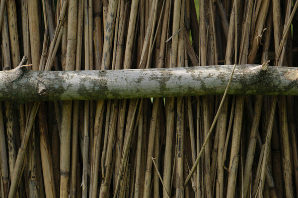 Reed and wood fence, nature, old, close-up background