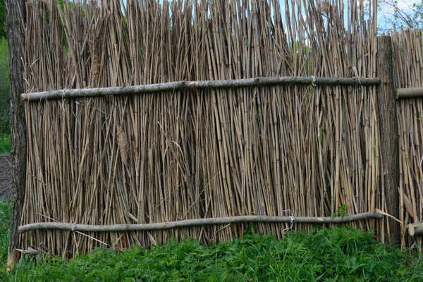 Reed and wood fence, nature, old, close-up background