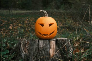 Balkabağı Jack ile Cadılar Bayramı arkaplanı