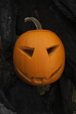 Korkunç yüzlü Cadılar Bayramı balkabağı