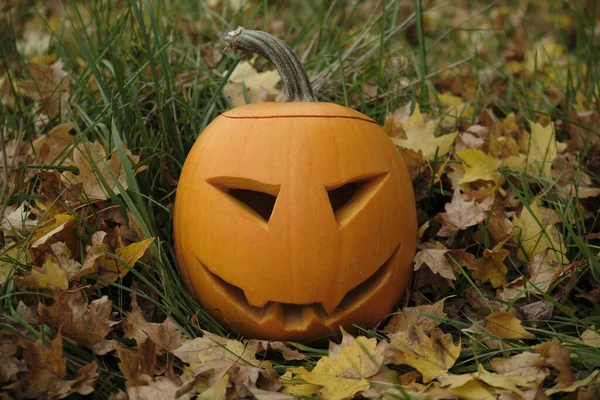 Halloween Pompoen Het Gras Herfst Bladeren — Stockfoto