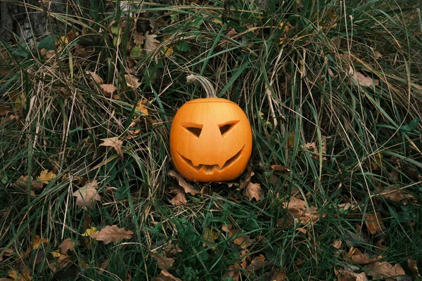 Halloween Pompoen Met Bladeren Een Donkere Achtergrond — Stockfoto