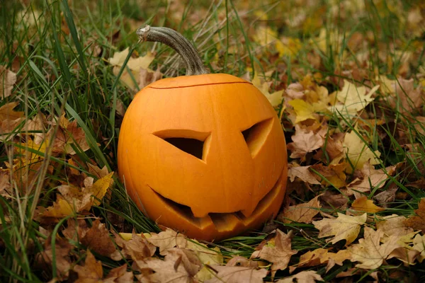 Halloween Pompoen Met Bladeren Een Achtergrond Van Herfst Bos — Stockfoto