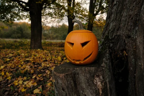 Halloween Dýně Hřbitově Lese — Stock fotografie