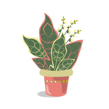 Çiçek saksısındaki dekoratif ev bitkisi beyaz arka planda izole edilmiş. Vektör illüstrasyonu