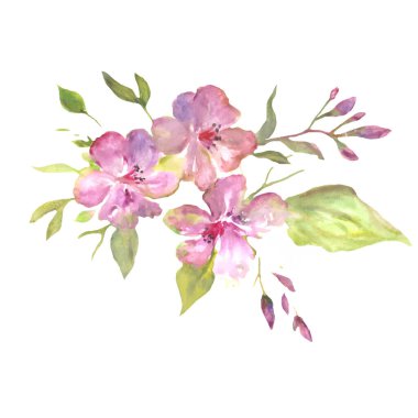  Beyaz arka planda soyut pembe çiçeklerle süslenmiş suluboya kompozisyon. Tasarım kartları için el çizimi illüstrasyon, davet.